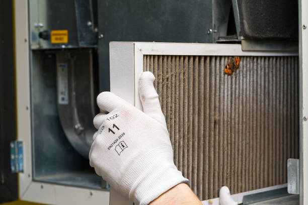 Best Professional Duct Cleaning Services  in Velva, ND
