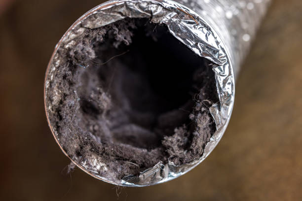 Best HVAC System Cleaning  in Velva, ND