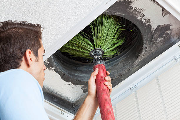 Best Affordable Air Duct Cleaning  in Velva, ND