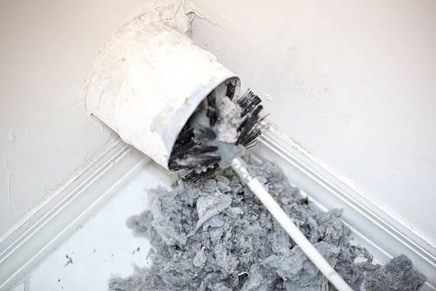 Best Air Duct Mold Removal  in Velva, ND